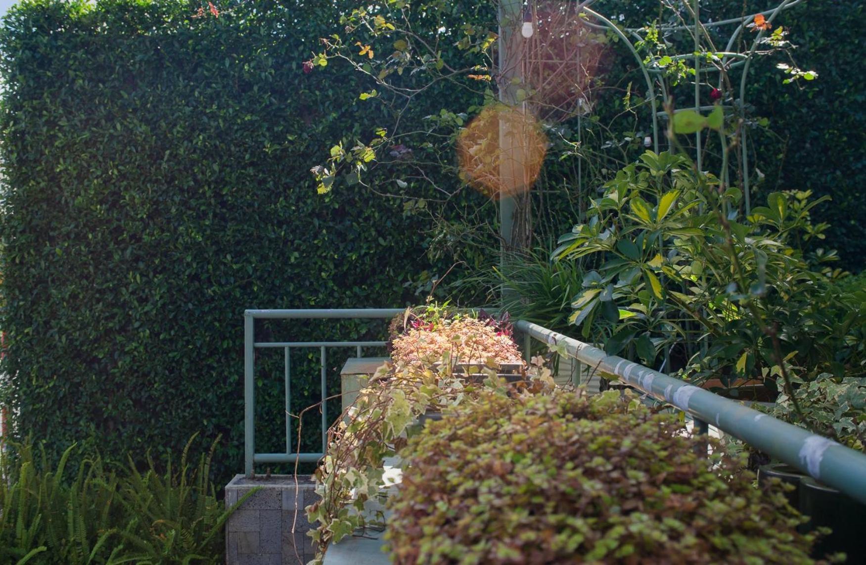 Le Soleil Boutique Hotel Da Lat Dış mekan fotoğraf