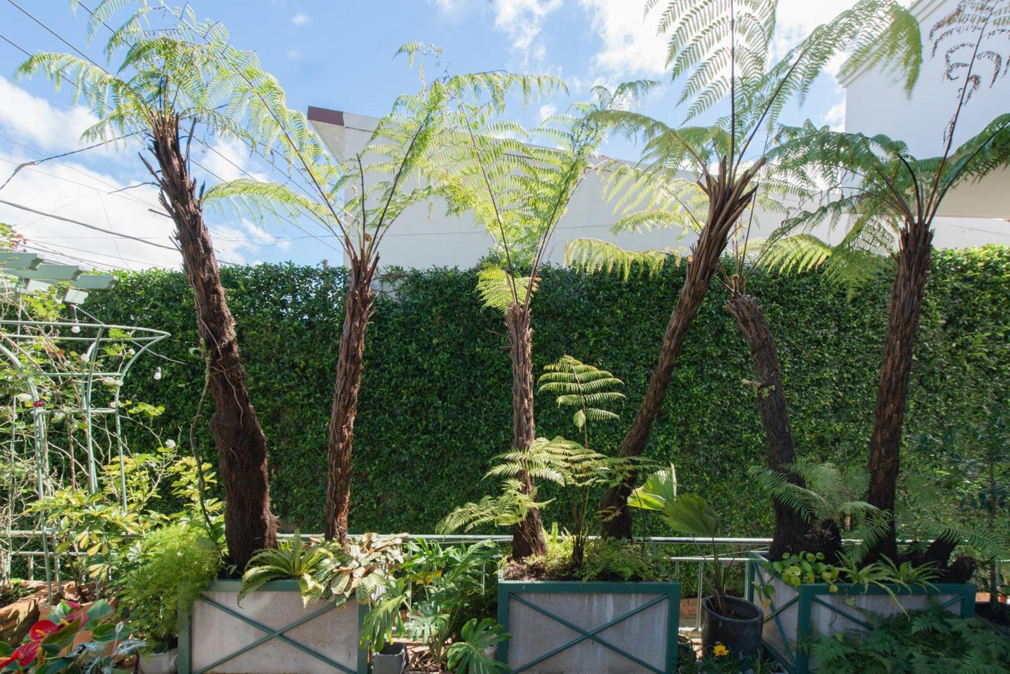 Le Soleil Boutique Hotel Da Lat Dış mekan fotoğraf