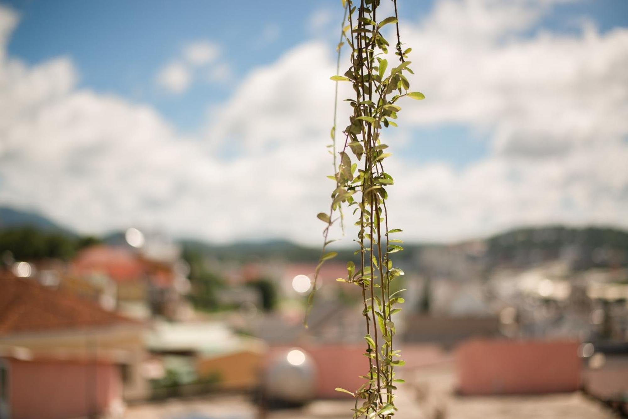 Le Soleil Boutique Hotel Da Lat Dış mekan fotoğraf